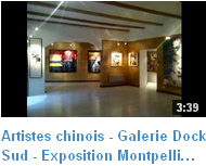 Exposition à Montpellier des peintres chinois présentés par Dock Sud